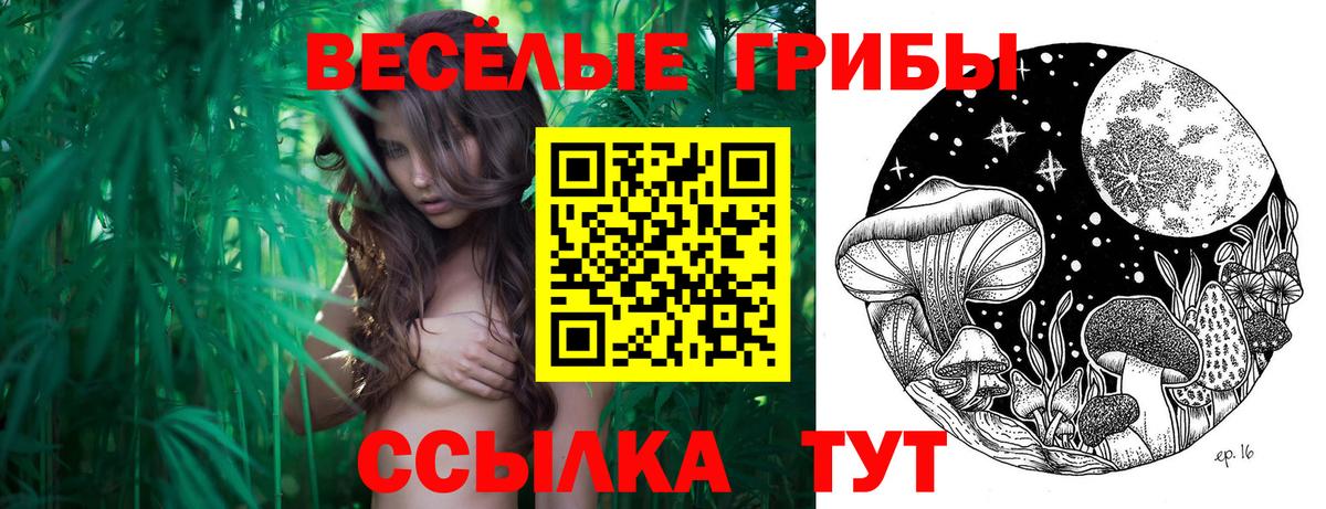 Галлюциногенные грибы GOLDEN TEACHER  Вход с VPN  Хабаровск 